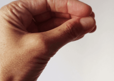 10. Contacto armonizador