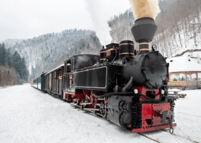 13. Respiración de la locomotora