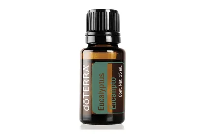 10. Eucalipto