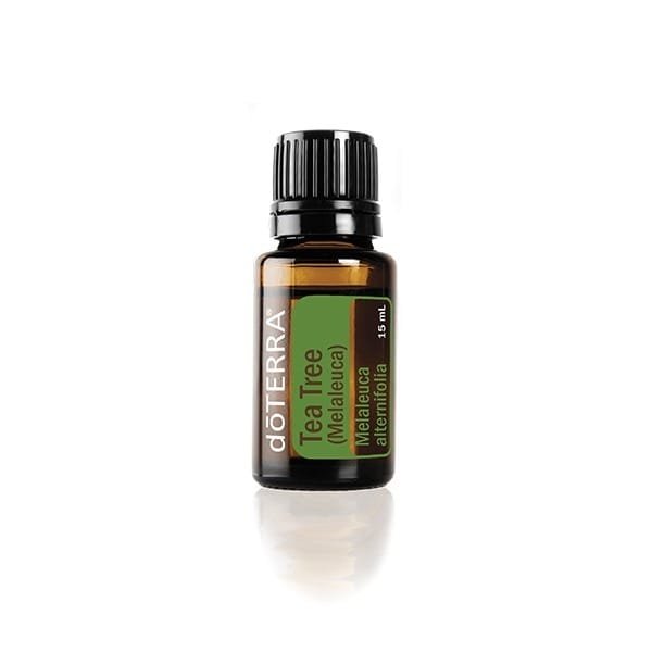 Tea Tree (Melaleuca alternifolia)