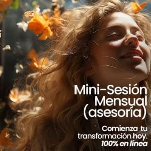 Mini sesión (asesoría)