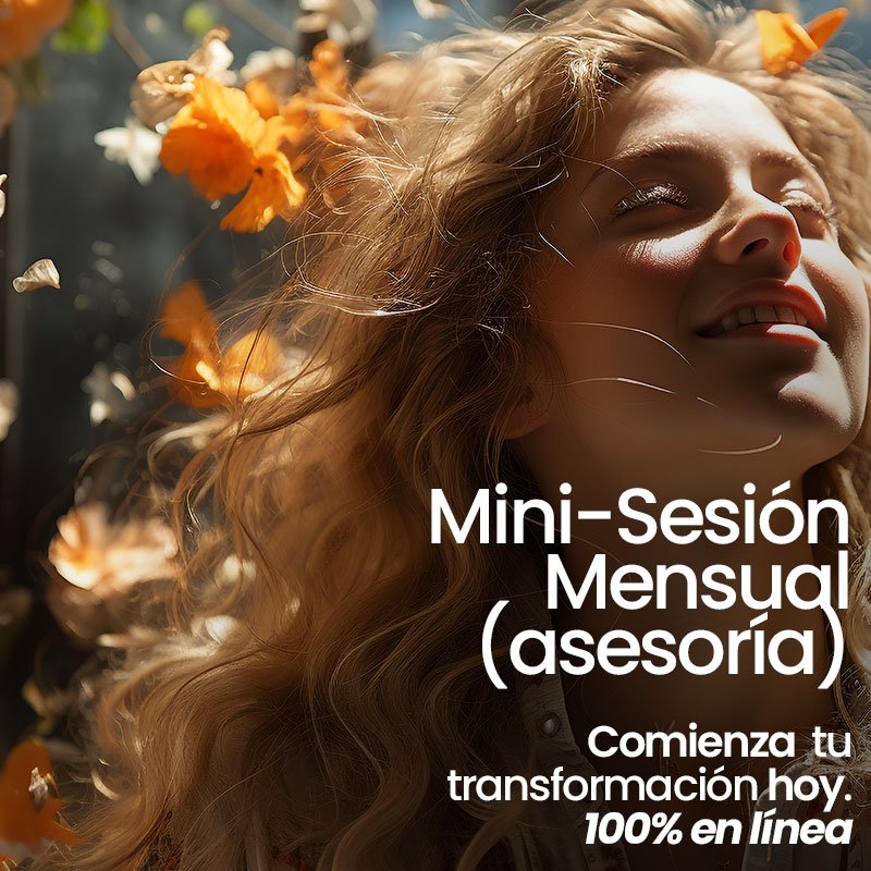 Mini sesión (asesoría)